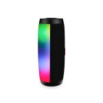 Portable Wireless Speaker with LEDs